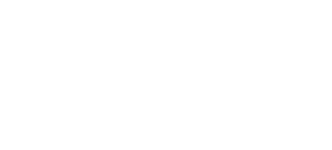 Shop Bizstrategists
