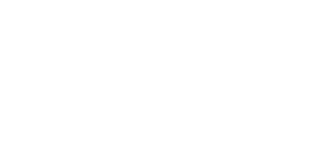 Stylized skyscraper and compass logo representing Biz Strategist